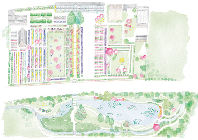Illustrated map of Monet's garden at Giverny